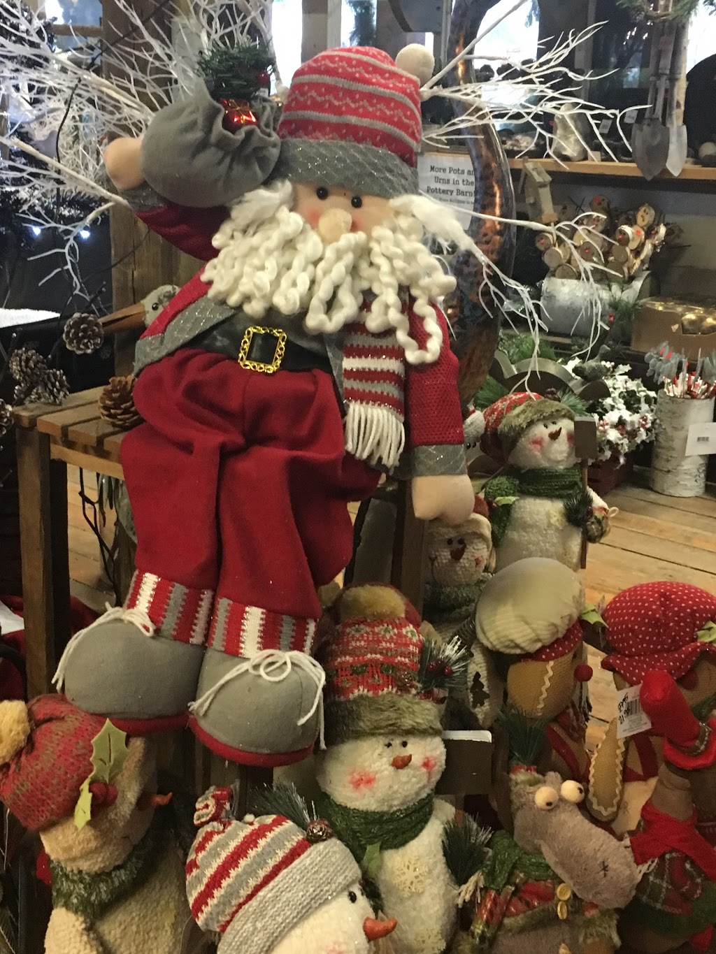 Arbor Garden Centre And Nursery | 6556 Trafalgar Rd, Milton, ON L9E 0Z2, Canada | Phone: (905) 876-1395