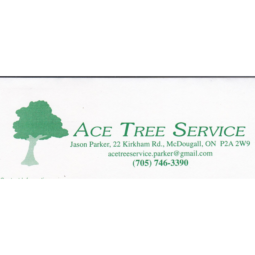 Ace Tree Service | Parry Sound Drive, Hwy 124, Parry Sound, ON P2A 2W7, Canada | Phone: (705) 746-3390