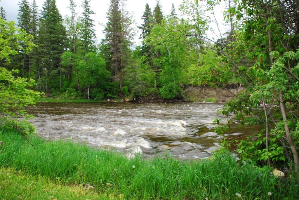 Great Woods | 73033 Rd 43E, Beausejour, MB R0E 0C0, Canada | Phone: (204) 268-2814