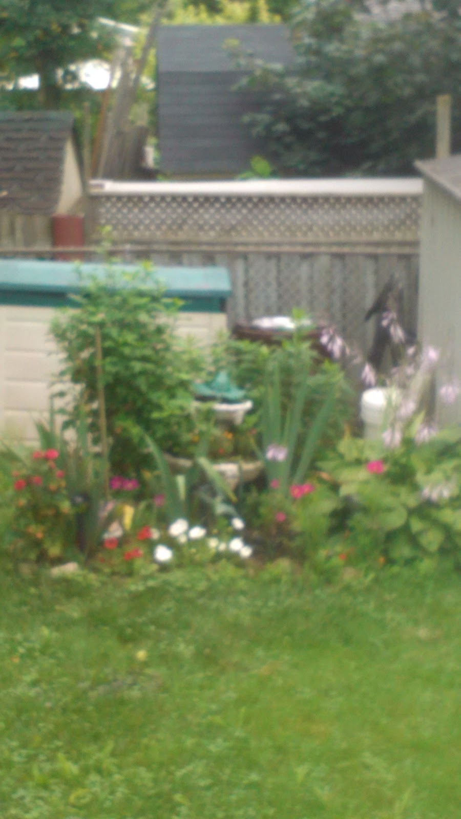 Cobblehill Homes Co-Operative Inc | 53 Cook St, Acton, ON L7J 1Z5, Canada | Phone: (519) 853-1226