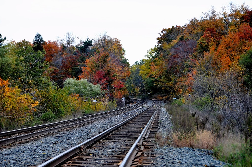 Active Transport Inc | 245 Bronte St N, Milton, ON L9T 3N7, Canada | Phone: (905) 878-8167