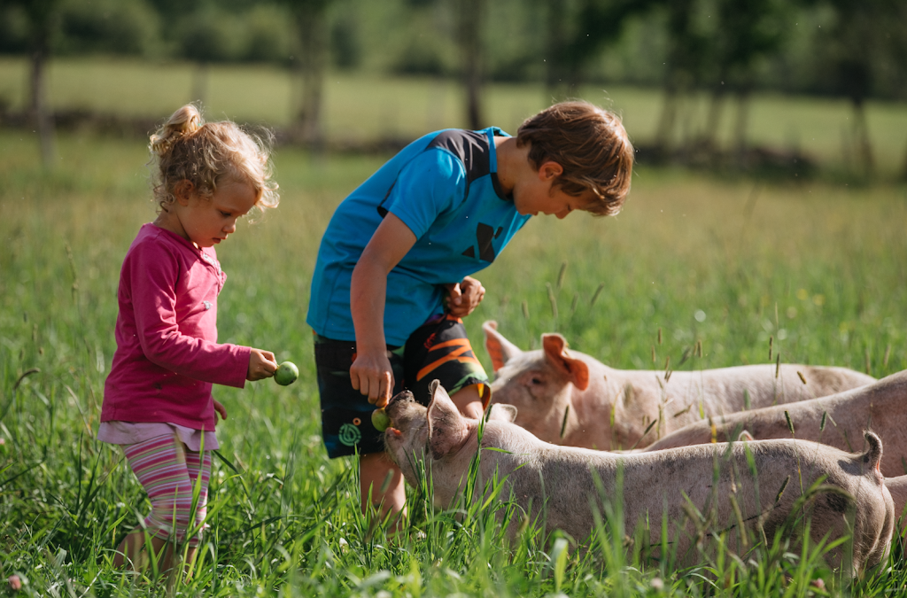 Ferme des Hautes Terres | Arthabaska, Quebec, 801 Rang 8 et 9, Saint-Rémi-de-Tingwick, QC J0A 1K0, Canada | Phone: (819) 359-2900