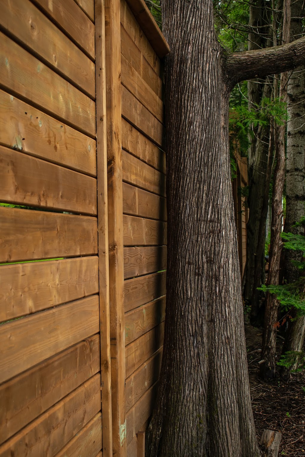 Hamerkop Property Services | 369 Muskoka Beach Rd, Gravenhurst, ON P1P 1M7, Canada | Phone: (705) 205-8007