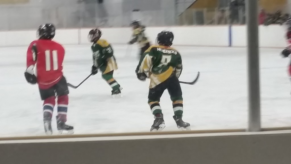 Crescent Heights Arena | 998 Branion Dr, Prince Albert, SK S6V 5Z1, Canada | Phone: (306) 764-1716