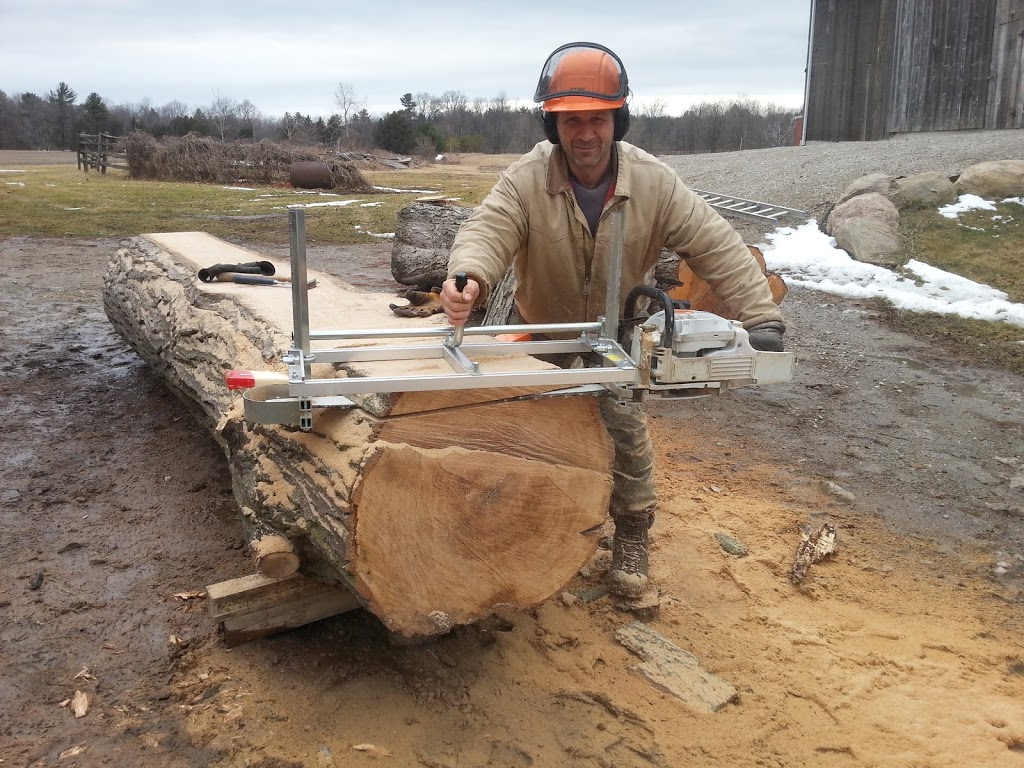 Cory’s tree services | 2 George St, Cookstown, ON L0L 1L0, Canada | Phone: (905) 751-8806