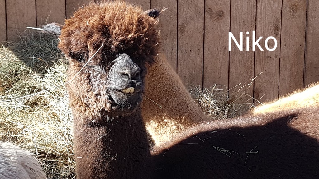 FED Farm | 077580 11 Line, Meaford, ON N4L 1W5, Canada | Phone: (705) 888-4181