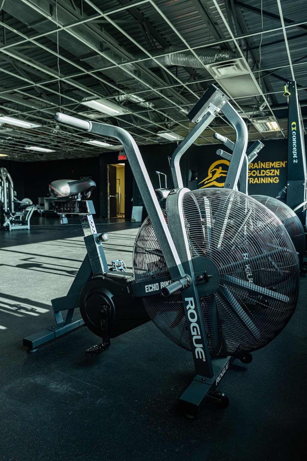 Goldszn Training | 4800 Rue René-Émard, Montréal, QC H9A 2Y1, Canada | Phone: (438) 244-2505