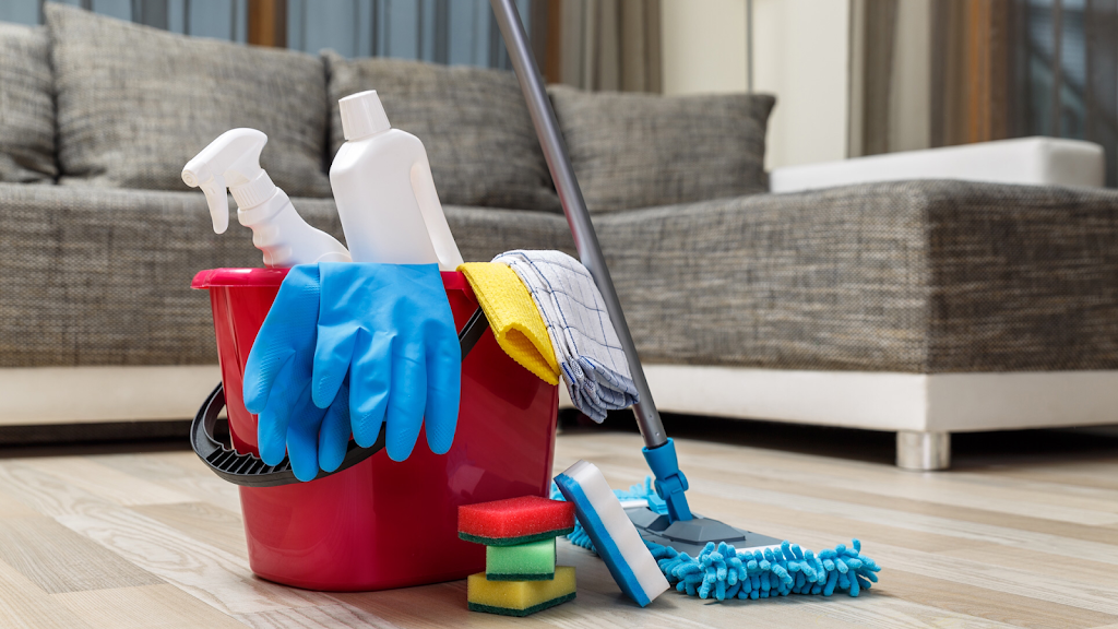 Simply Quinning - Cleaning Services | point of interest | North, 1012 High Falls Ln, Verona, ON K0H 2W0, Canada | 6133296918 OR +1 613-329-6918