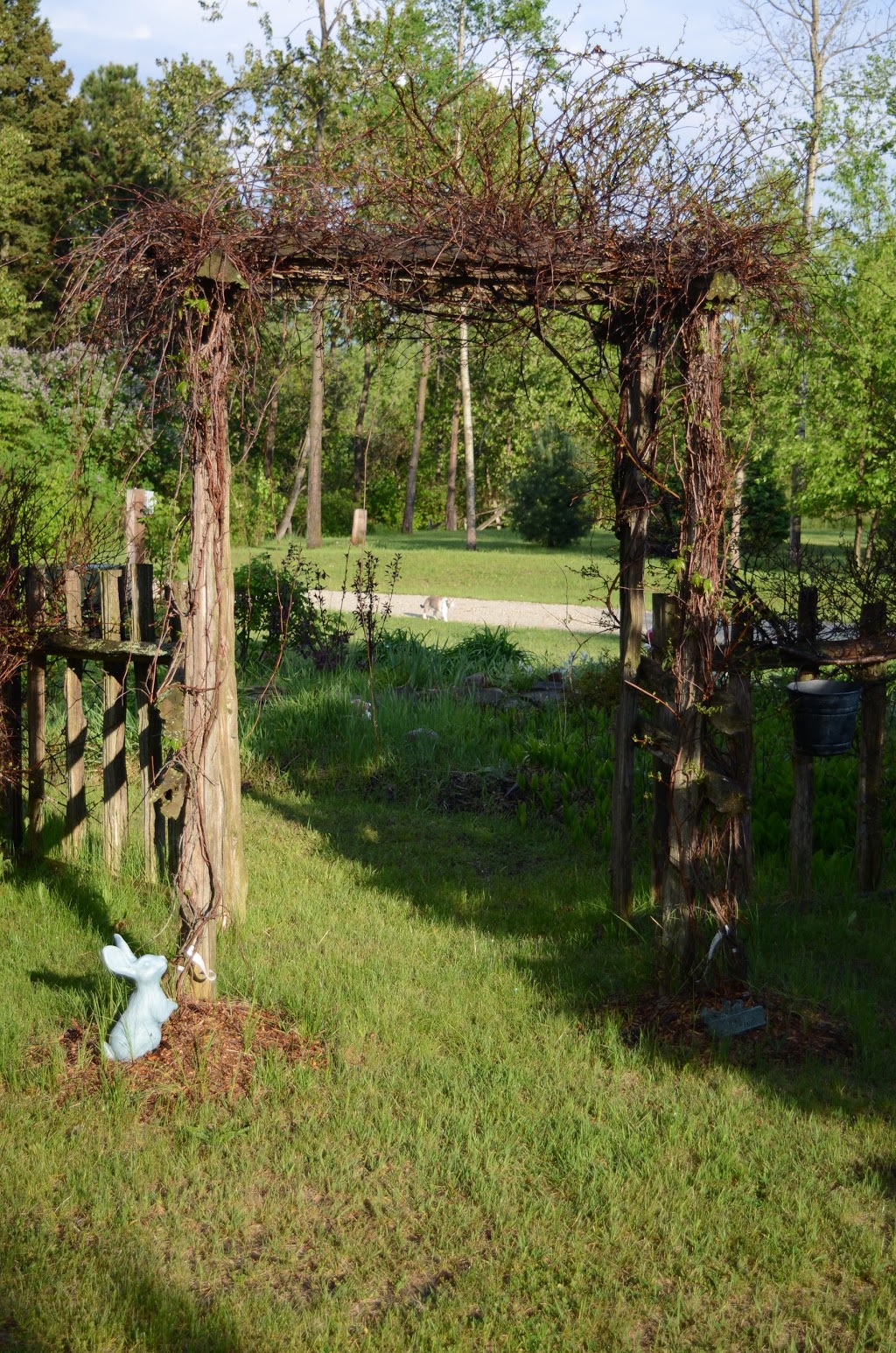 Yoga Cabin | 7967 County Rd 13, Lisle, ON L0M 1M0, Canada | Phone: (705) 440-7766