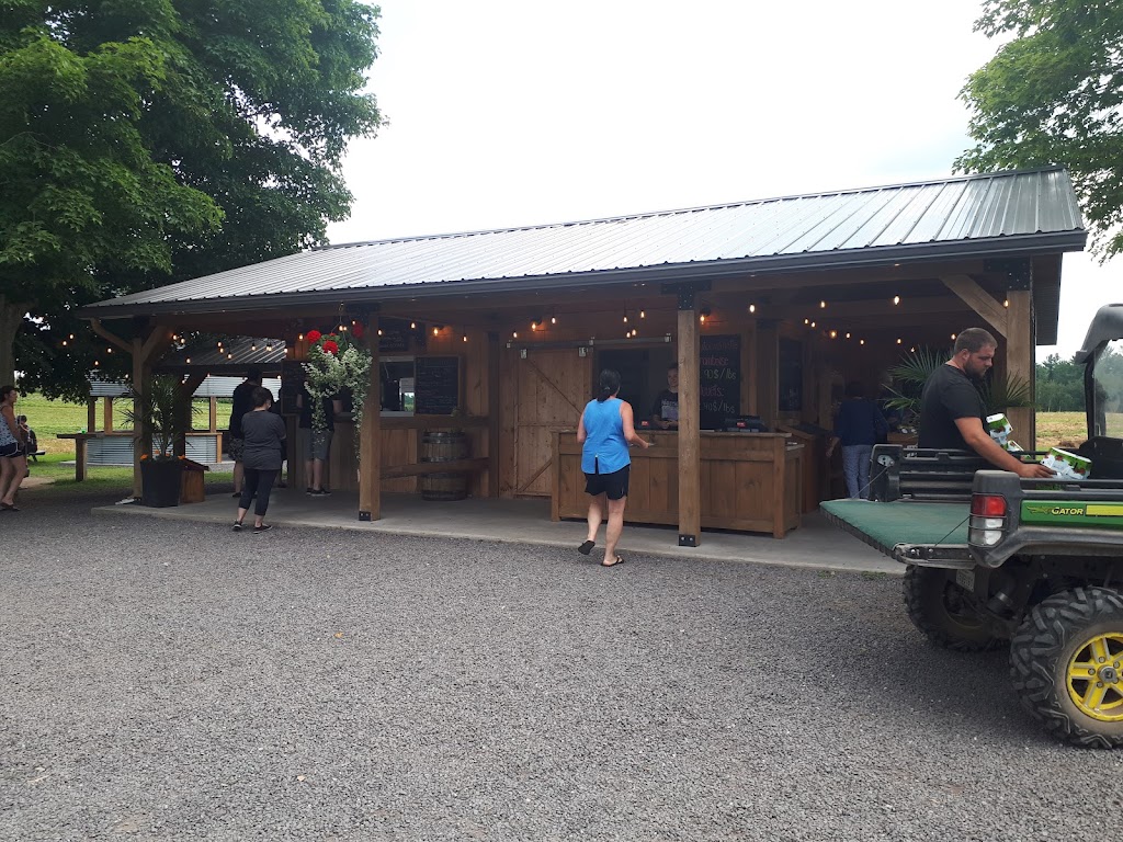 Fruitière Laliberté inc. | 1659 Rue des Érables, Saint-Lambert-de-Lauzon, QC G0S 2W0, Canada | Phone: (418) 889-9919