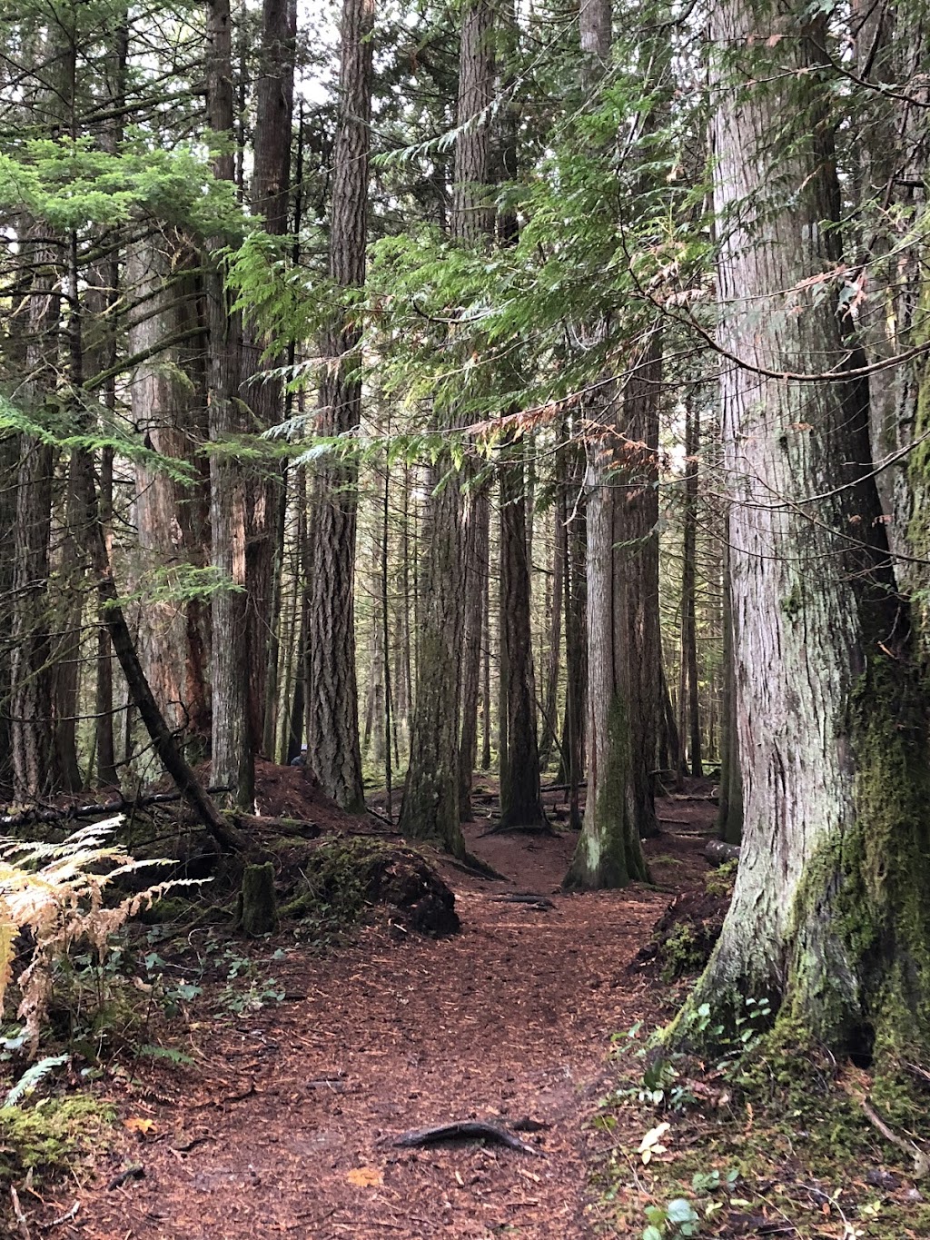 Ashling Cottage | 1875 Ashling Rd, Qualicum Beach, BC V9K 2V1, Canada | Phone: (250) 713-9680