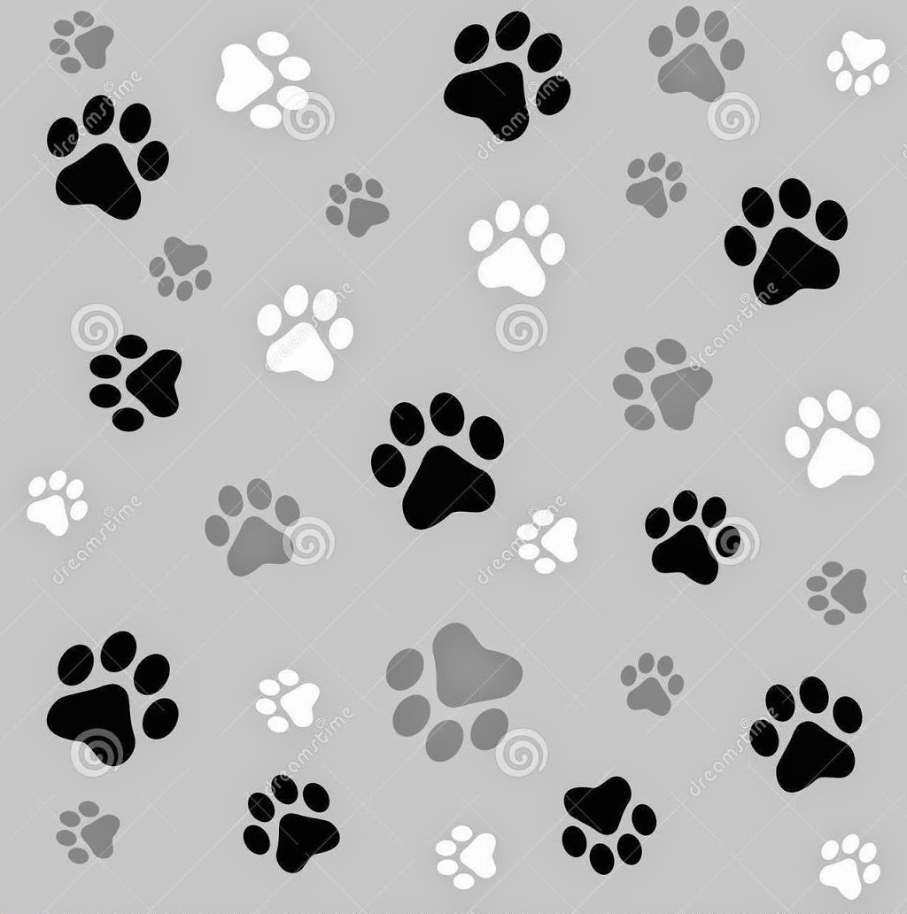 Stratford-Perth Humane Society | 125 Griffith Rd, Stratford, ON N5A 6S4, Canada | Phone: (519) 273-6600