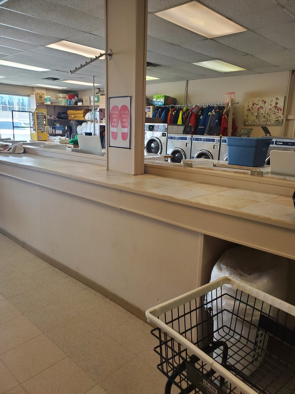 Laundry Basket | laundry | 5511 50 Ave #3, Red Deer, AB T4N 4B8, Canada | 4033415015 OR +1 403-341-5015