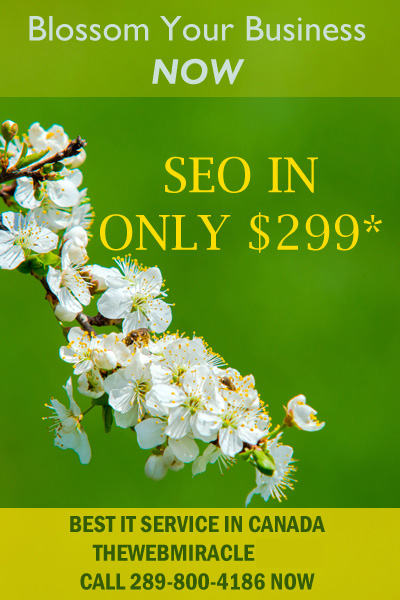 The Web Miracle | 149 Heartview Rd, Brampton, ON L6Z 0G2, Canada | Phone: (289) 800-4186