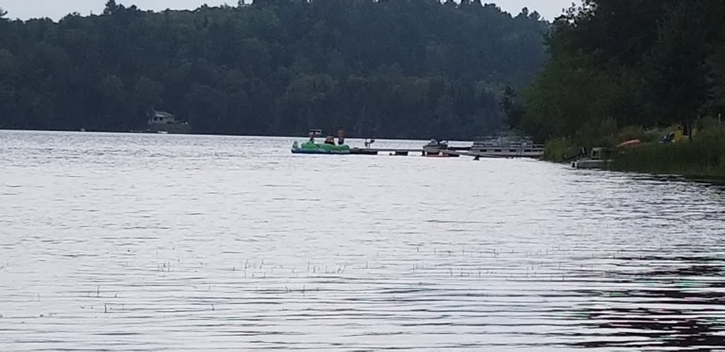Camping Barbe inc. | 236 Chemin de Blue Sea, Blue Sea, QC J0X 1C0, Canada | Phone: (819) 463-3494