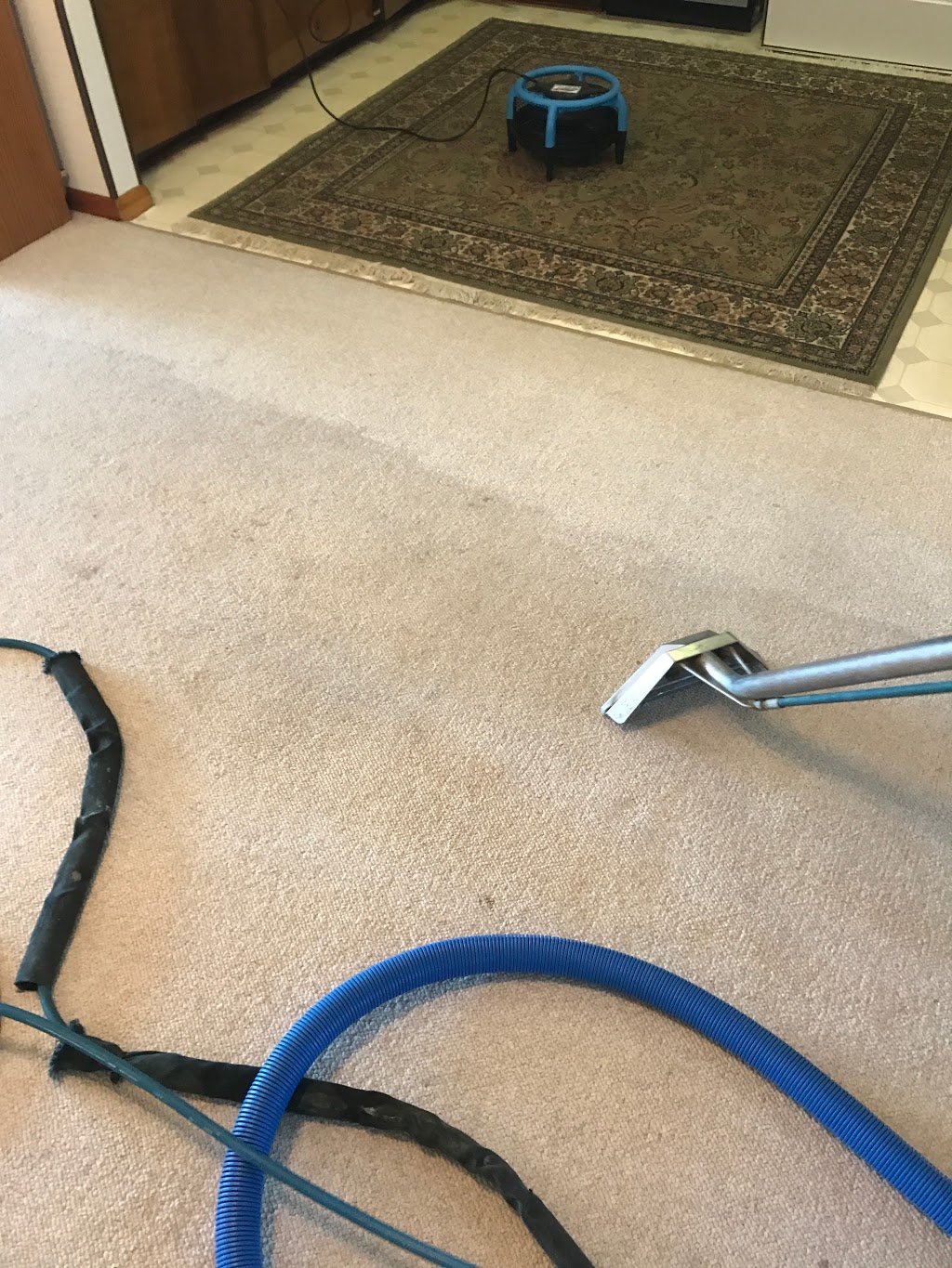 Grants Carpet Cleaning Inc. | 39 Centre St, Spencerville, ON K0E 1X0, Canada | Phone: (613) 227-1658