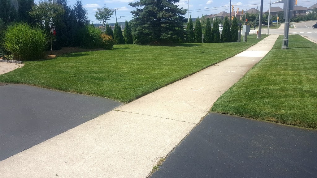 Vida Landscape Solutions | 4585 Palladium Way Unit 3049, Burlington, ON L7M 0W9, Canada | Phone: (905) 531-1945