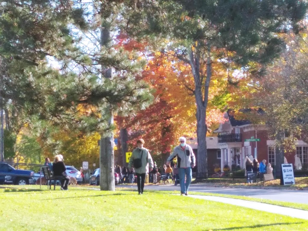 Waterford Pumpkin Festival Inc | 76 Main St S, Waterford, ON N0E 1Y0, Canada | Phone: (519) 443-4944