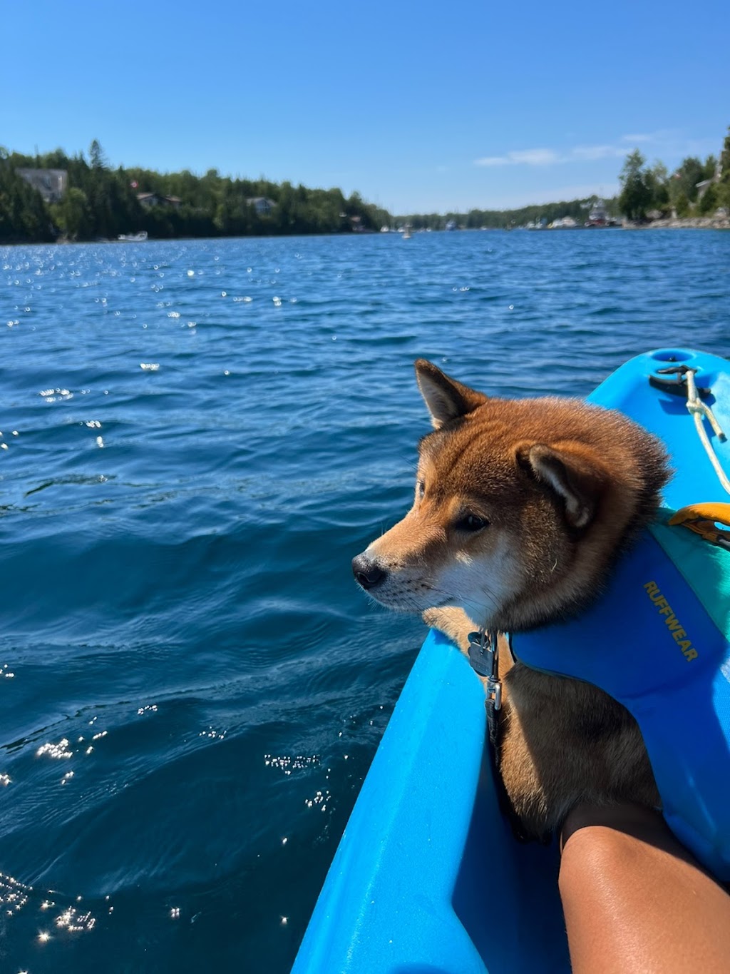 On the Water Kayaks | 53 Bay St, Tobermory, ON N0H 2R0, Canada | Phone: (519) 596-2626