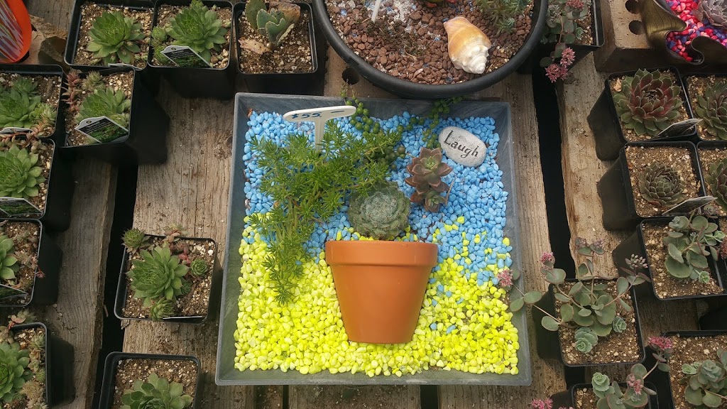 Doorns Greenhouse | NE-1-16-20 W2 (8km South of Regina on Highway RR3, Regina, SK S4P 2Z3, Canada | Phone: (306) 586-5791