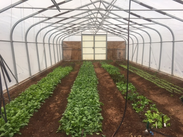 Emmerdale Eden Farm | 10 Emery Rd, Summerside, PE C1N 4J8, Canada | Phone: (902) 436-5180