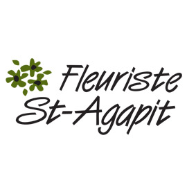 Fleuriste St-Agapit | 1137 Rue du Centenaire, Saint-Agapit, QC G0S 1Z0, Canada | Phone: (418) 888-4616