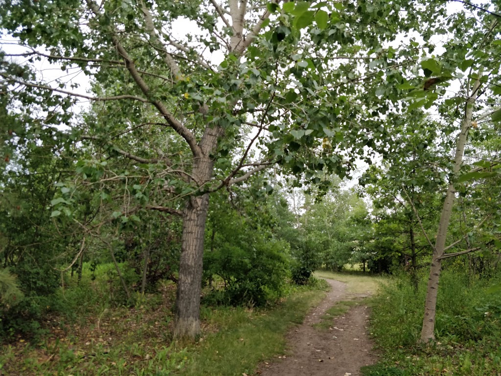 Elliston Park | 1827 68 St SE, Calgary, AB T2B, Canada | Phone: (403) 476-4323