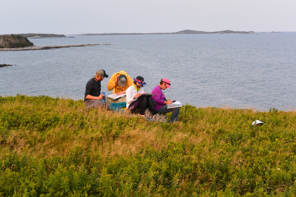 Cloud 9 Adventures | 631 St Peters Harbour Rd 631 A, Morell, PE C0A 1S0, Canada | Phone: (902) 961-3373