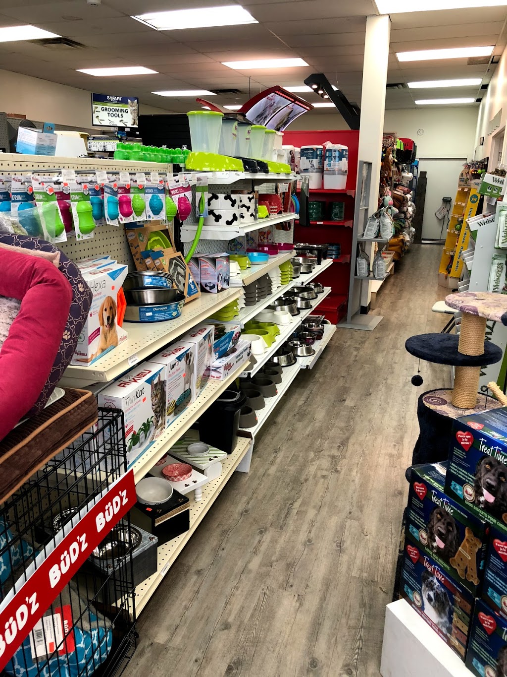 Fido et Felix | 820 Boulevard de Périgny, Chambly, QC J3L 1W3, Canada | Phone: (450) 403-1716