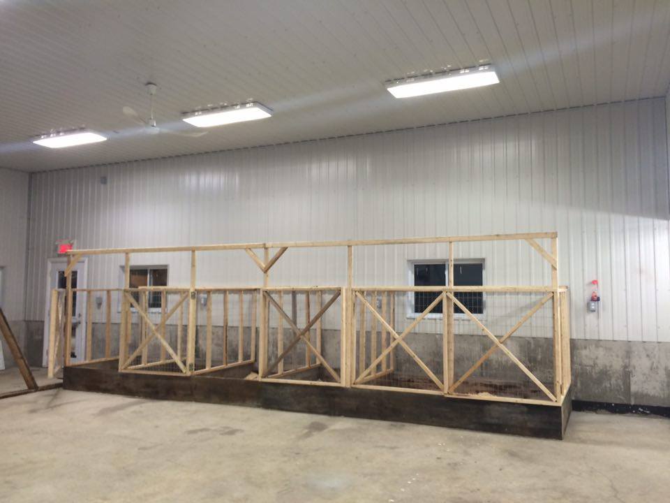 Élevage Rottweilers Der Festung Inc | 330 Route du Canton, Brownsburg, QC J8G 1R2, Canada | Phone: (450) 562-1970