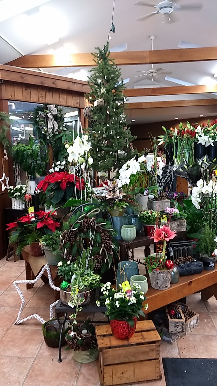 Ridgeway Florist | 291 Parkside Dr, Waterdown, ON L0R 2H0, Canada | Phone: (905) 689-8288