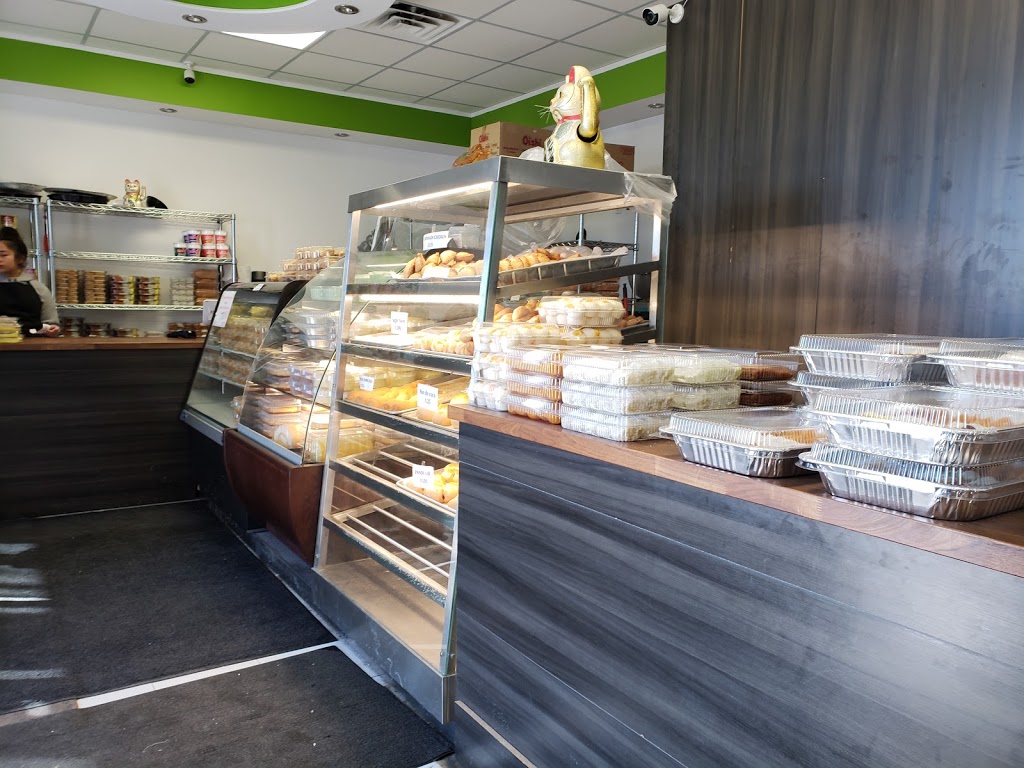 Alminz Kakanin | 248 Steeles Ave W, Thornhill, ON L4J 5R4, Canada | Phone: (905) 597-8017