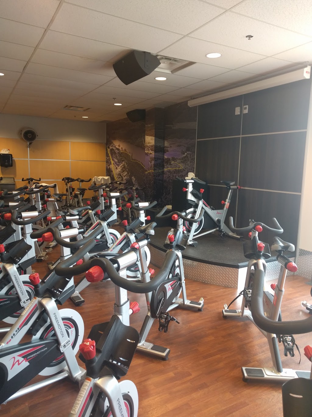 GoodLife Fitness Mississauga Meadowvale Town Centre | 6875 Meadowvale Town Centre Cir, Mississauga, ON L5N 2W7, Canada | Phone: (905) 858-5548