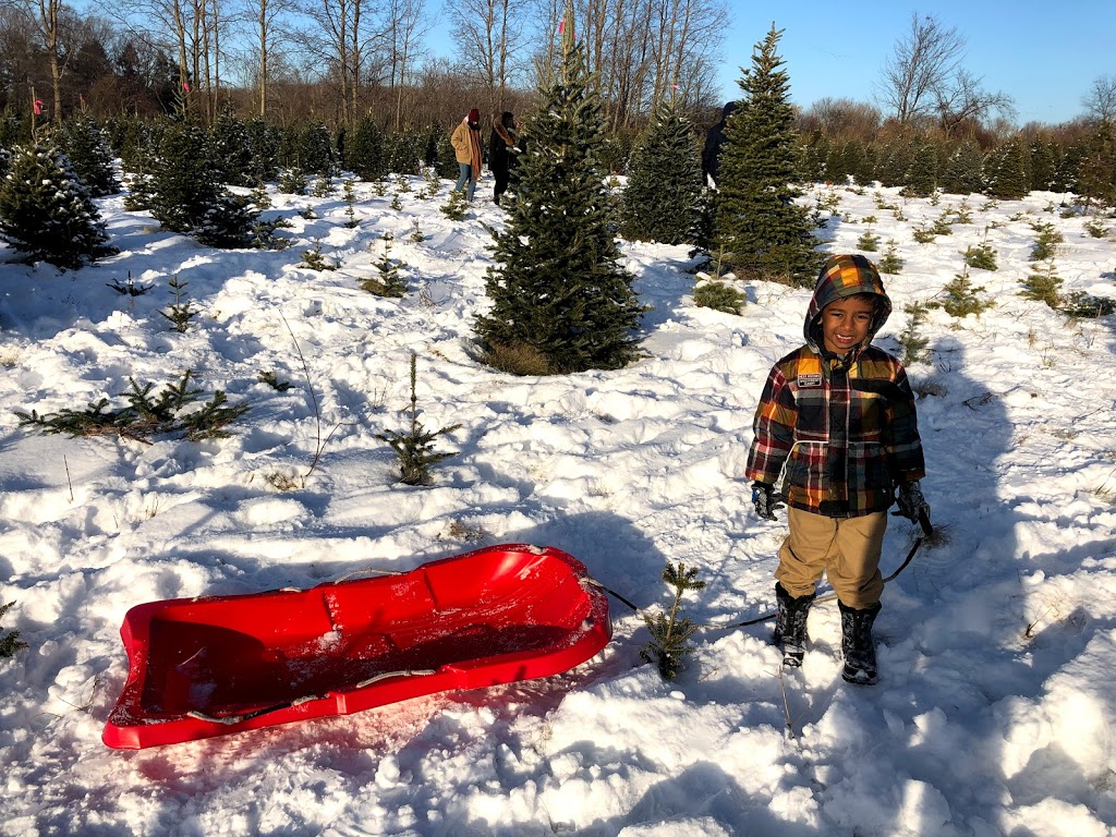 Prestonvale Tree Farms | 1421 Prestonvale Rd, Courtice, ON L1E 2P2, Canada | Phone: (800) 311-6964