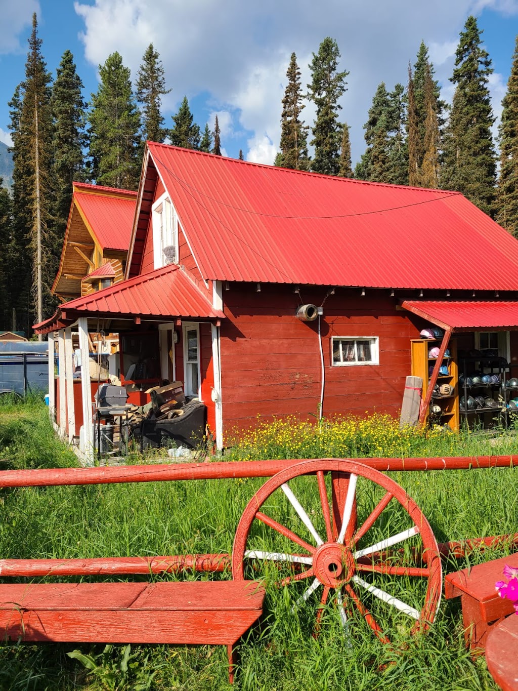 Timberline Tours Ltd | 101 St Piran Rd, Lake Louise, AB T0L 1E0, Canada | Phone: (403) 522-3743