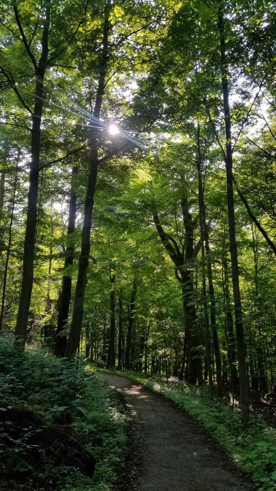Monarch Trail small loop | 856 Old Dundas Rd, Dundas, ON L9H 5E3, Canada