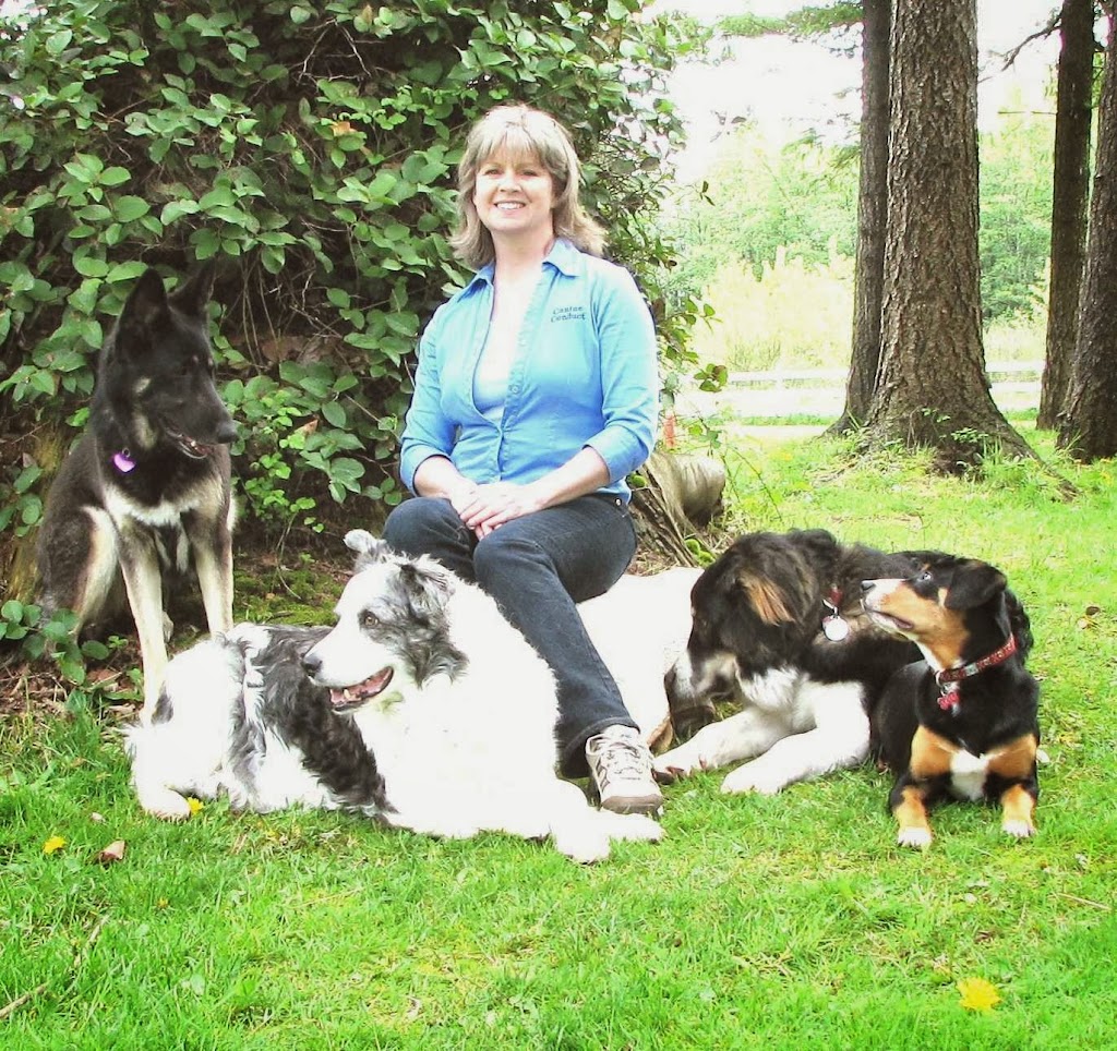 Canine Conduct Training Solutions | 7778 Sturgess Rd, Black Creek, BC V9J 1G7, Canada | Phone: (250) 898-3173