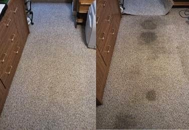 Ecosuds Carpet and Upholstery Care | 221 Barton St Unit B, Stoney Creek, ON L8E 2K3, Canada | Phone: (905) 667-5624