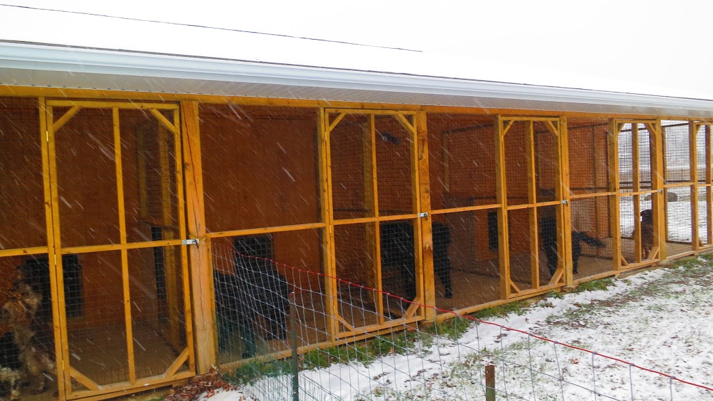 Roman Kennels | 3930 Yonge St, Bradford, ON L3Z 2A5, Canada | Phone: (416) 917-5293