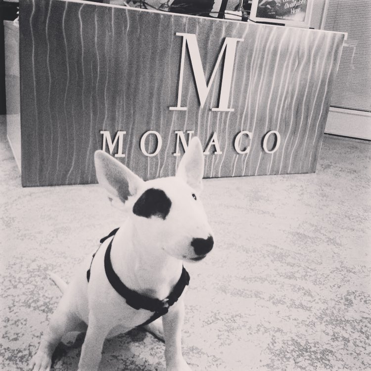 Monaco Medical Aesthetics | 80 King St E, Stoney Creek, ON L8G 1K2, Canada | Phone: (905) 921-4940