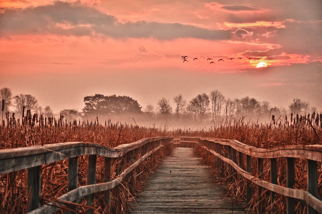Captura Photography and Imaging | 23 Shore Ave, Whitby, ON L1R 2L7, Canada | Phone: (647) 267-9455