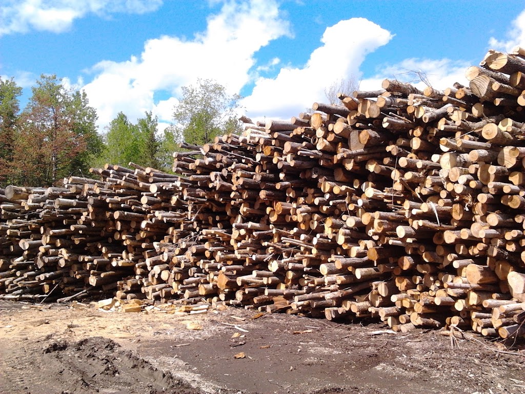 LEnvironnement Du Nord Ltee | 43 Chem. du Lac Adair, Saint-Hippolyte, QC J8A 3C5, Canada | Phone: (450) 563-3139