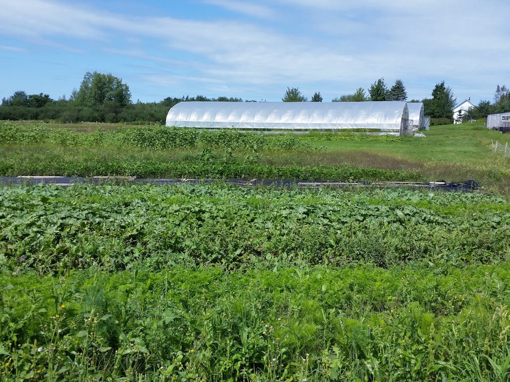 Cochrane Family Farm | 5324 NS-289, Upper Stewiacke, NS B0N 2P0, Canada | Phone: (902) 671-2378