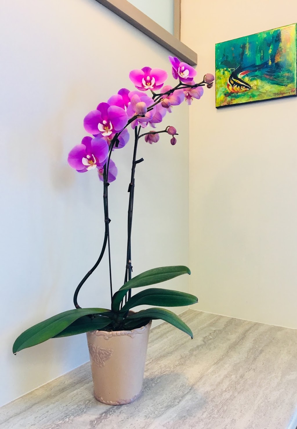 Dr. Holly Blaikie | 225 High St, Ladysmith, BC V9G 1B1, Canada | Phone: (250) 245-8558
