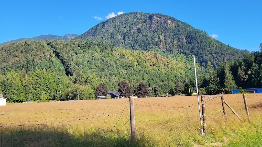 Country’s Edge Blueberry Farm | 200 Columbia Valley Rd, Lindell Beach, BC V2R 4X6, Canada | Phone: (604) 847-0481