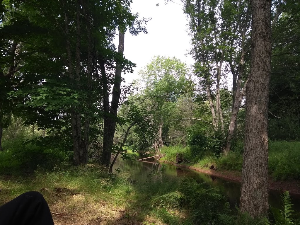 Riverbend Family Campground | 423 Salisbury Back Rd, Salisbury, NB E4J 1K4, Canada | Phone: (506) 801-0269