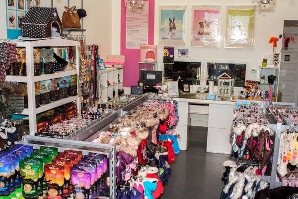 Puppy Angel | 1 Boulevard de Sardaigne, Candiac, QC J5R 0A1, Canada | Phone: (450) 444-4441