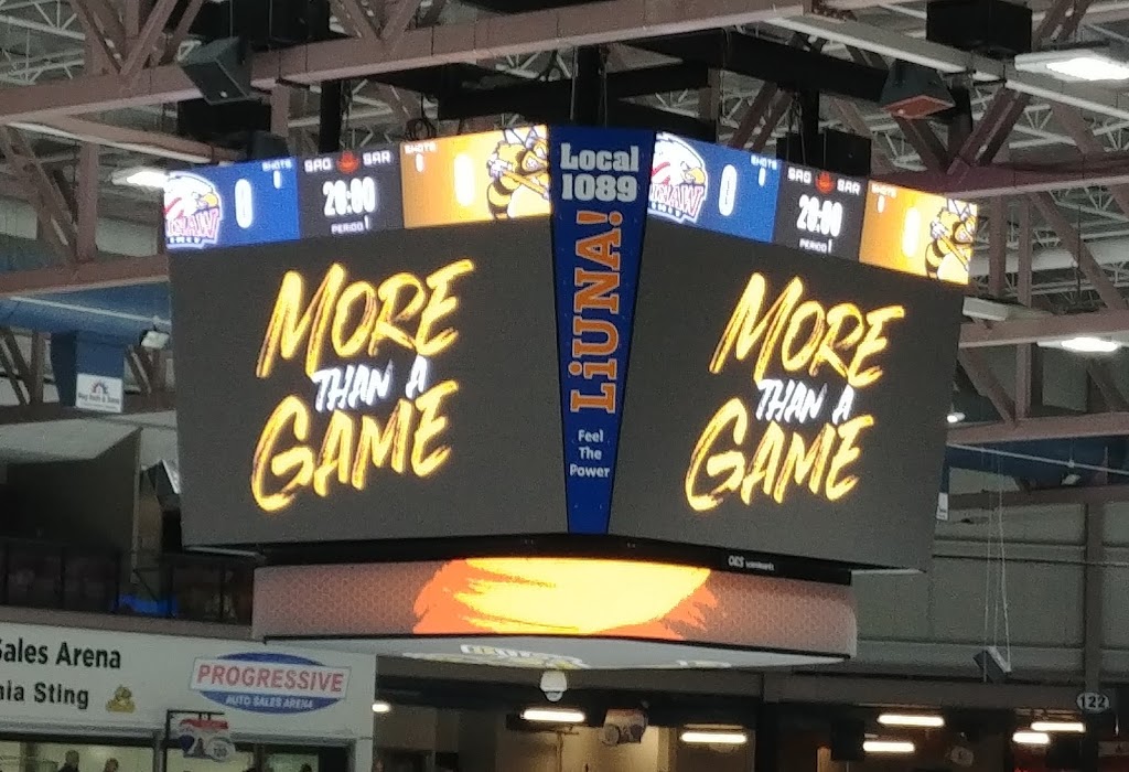Sarnia Sting Hockey Club | 1455 London Rd, Sarnia, ON N7S 6K7, Canada | Phone: (519) 541-1717