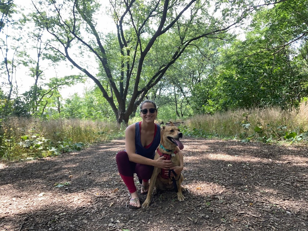 Cozy Pet Boarding | 50 Jackman Crescent, Woodbridge, ON L4L 6P2, Canada | Phone: (416) 888-5667
