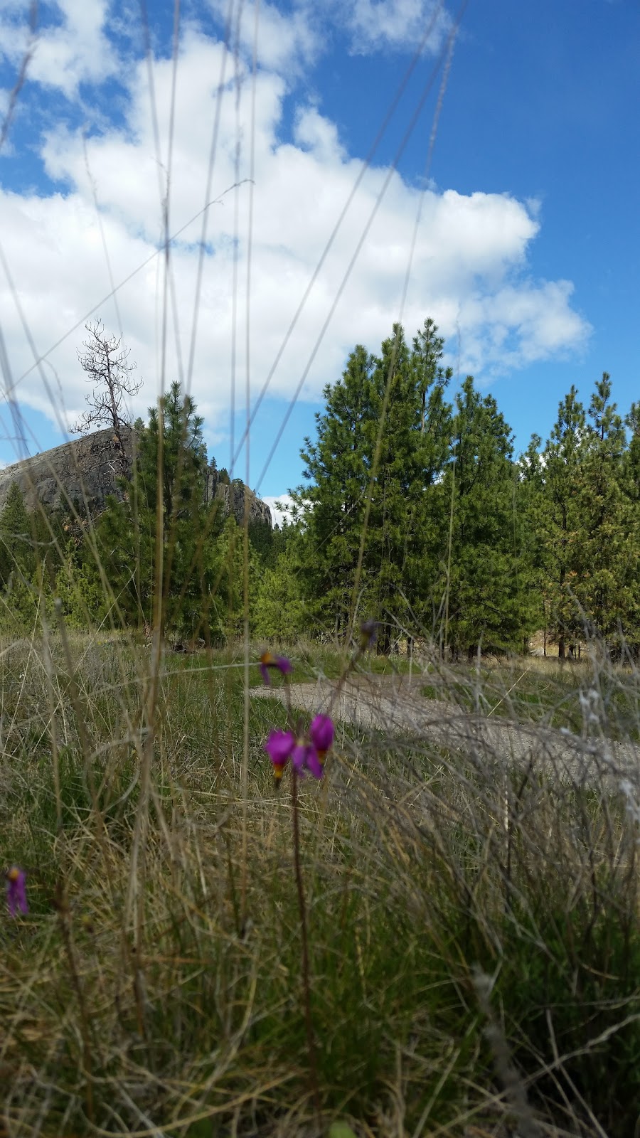 Skaha Bluffs Parking Lot | Smythe Dr, Penticton, BC V2A 8W6, Canada